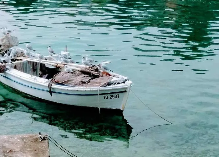 Marta Trogir