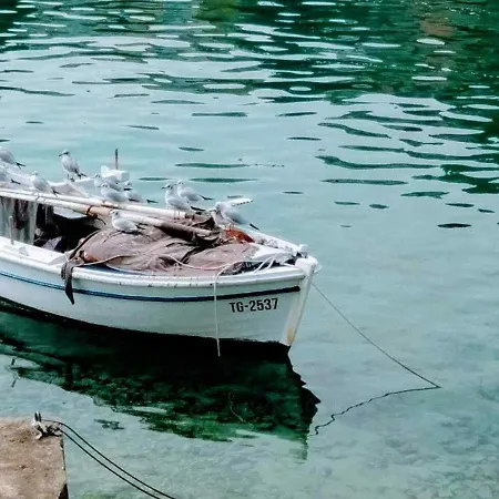 Marta Trogir